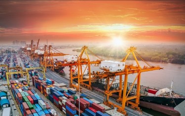 Cụm cảng Cái Mép lọt top 7 cảng container hiệu quả nhất thế giới